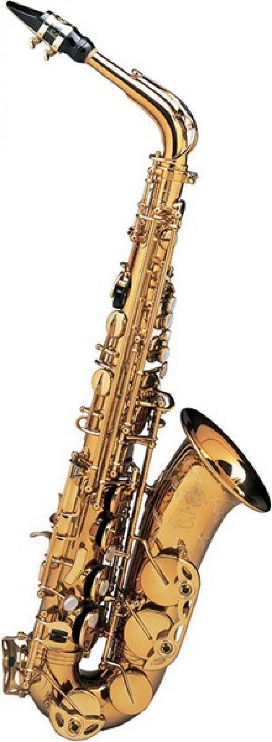 Selmer Reference 54 Alto Dark Gold image