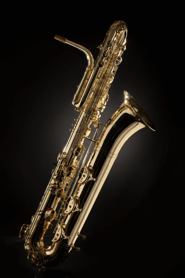 Zetland Bass Sax