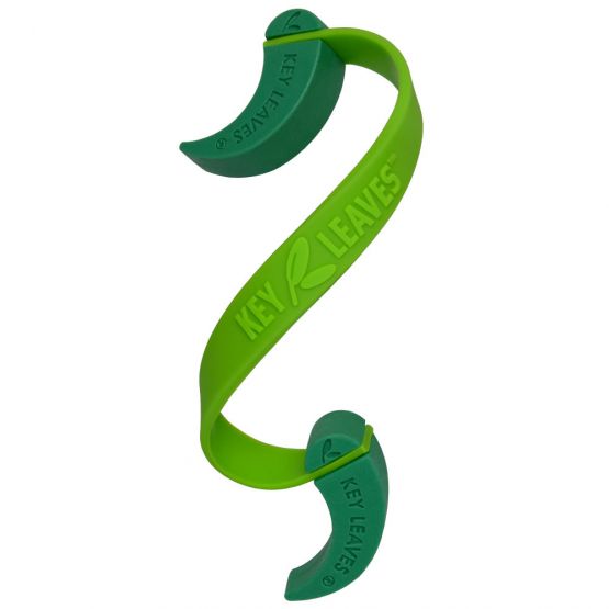 Key Leaves image