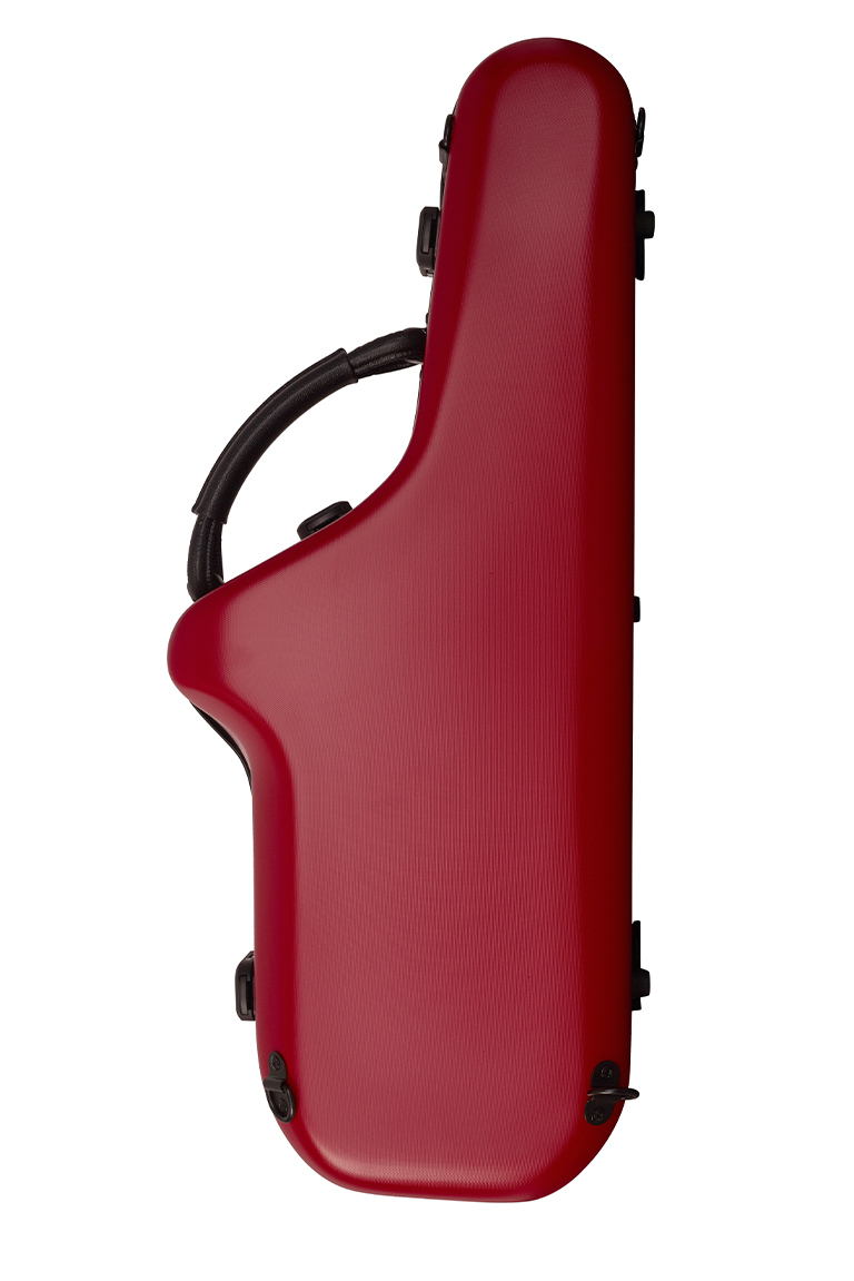 BAM Cabine Alto Sax case