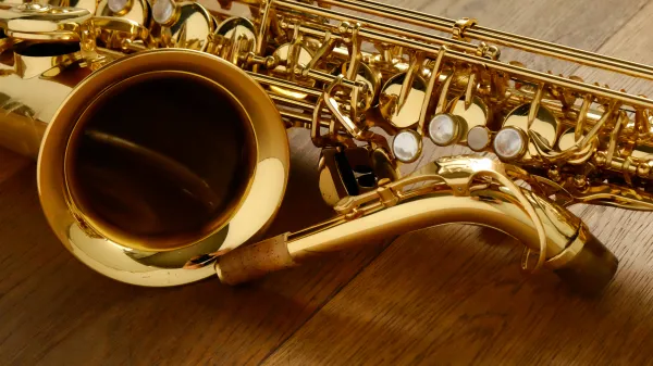 (Used) Yanagisawa AWO1 Alto Saxophone 00376***
