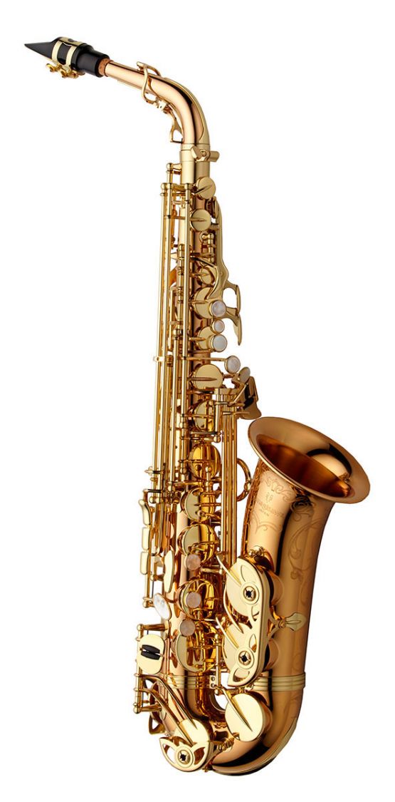 Yanagisawa AWO20 Bronze Alto Saxophone main image