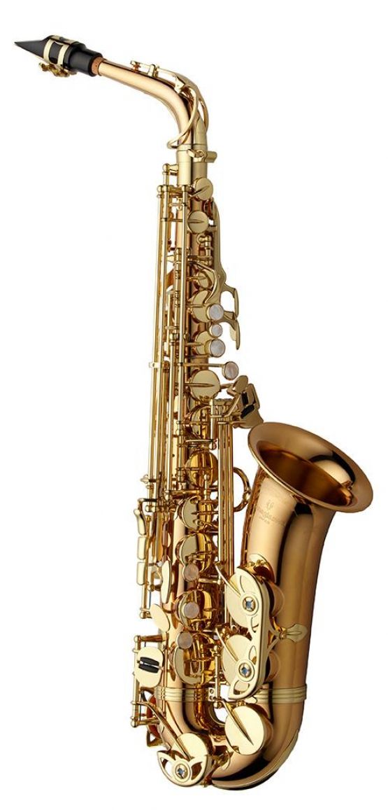 Yanagisawa AWO2 Bronze Alto Saxophone main image