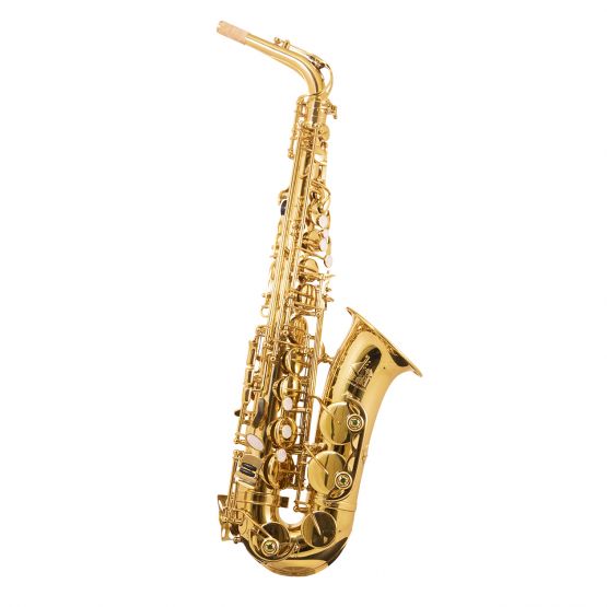 Trevor James The Horn Alto Saxophone  main image
