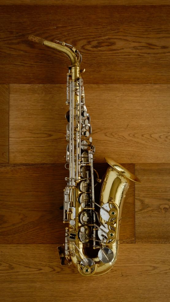 (Used) Yanagisawa 800 'Elimona' Alto Sax main image