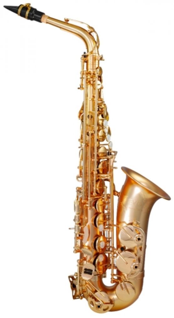 Trevor James EVO Alto Saxophone Gold Frost main image