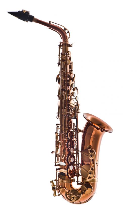 Leblanc LAS711DL Premiere Alto Saxophone - Dark Lacquer main image