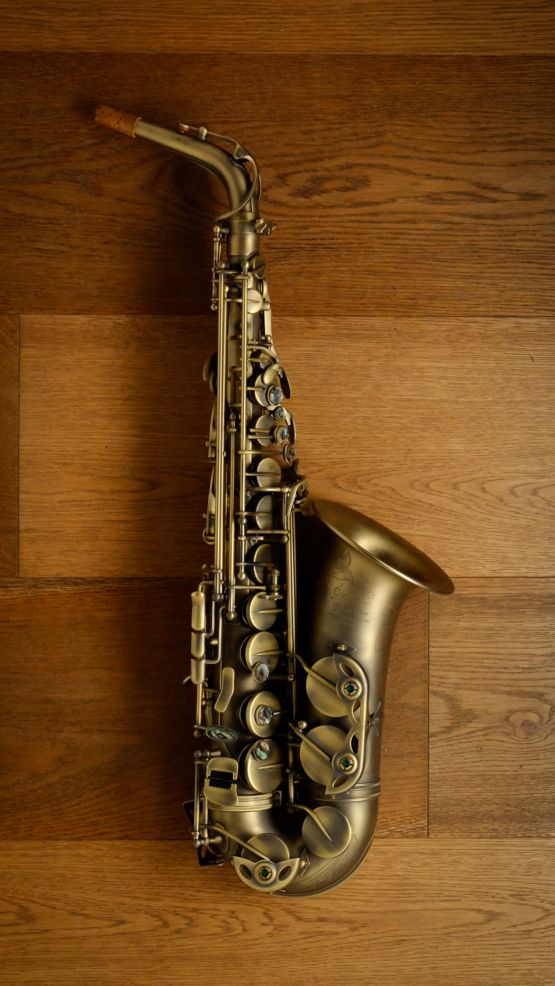 (Used) P.Mauriat 67RDK Vintage Finish Alto Sax main image