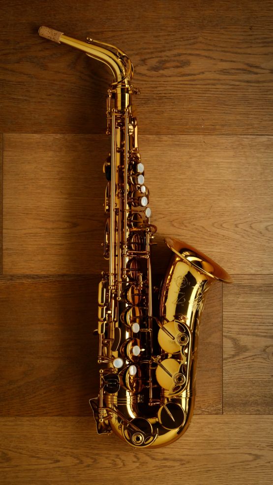 (Used) Selmer Reference 54 'Hummingbird' Alto Sax main image