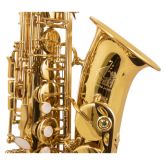 Trevor James The Horn Alto Saxophone  thumnail image