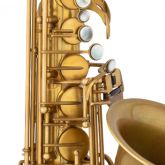 Eastman EAS253v Vintage Finish Alto Sax thumnail image