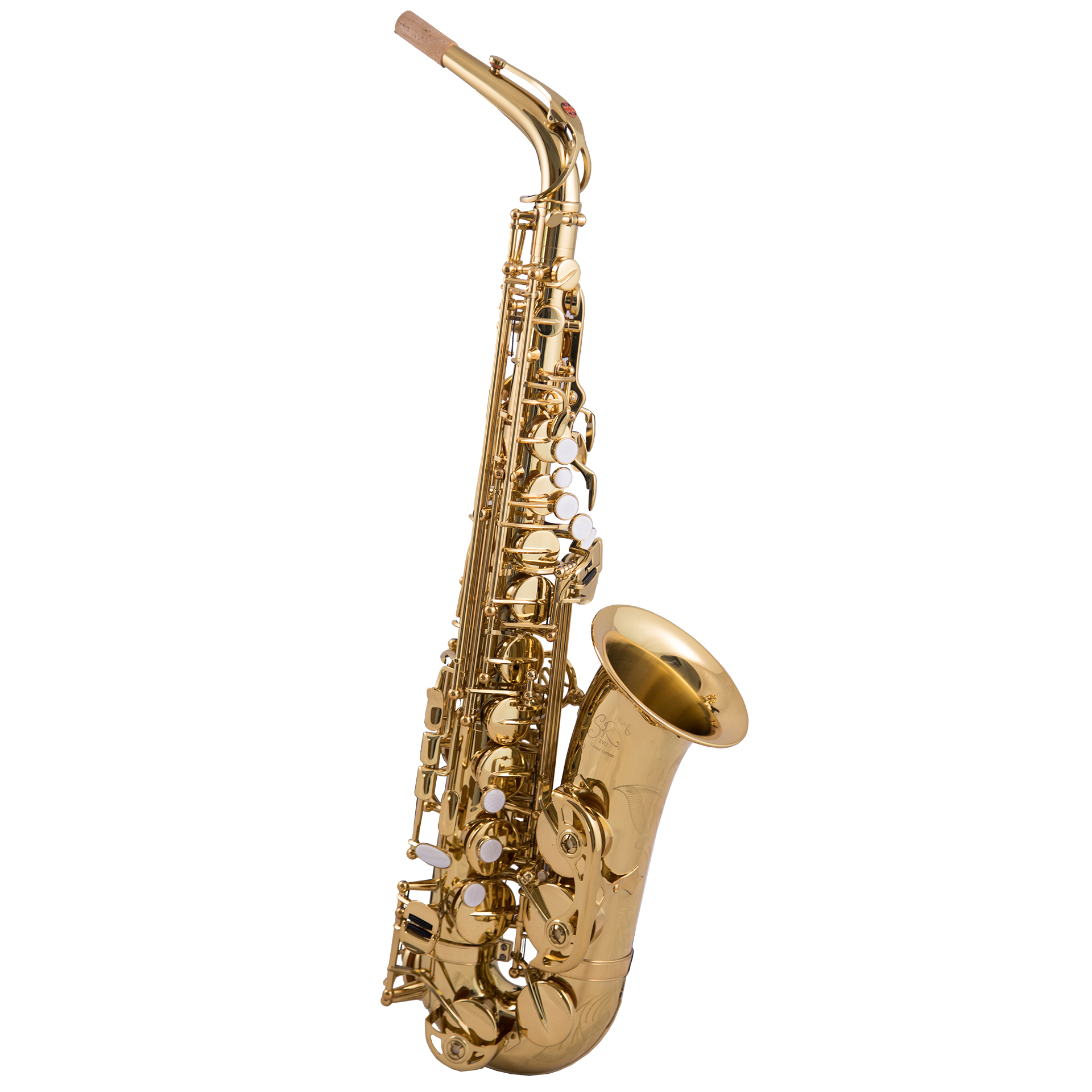 Trevor James EVO Alto Saxophone