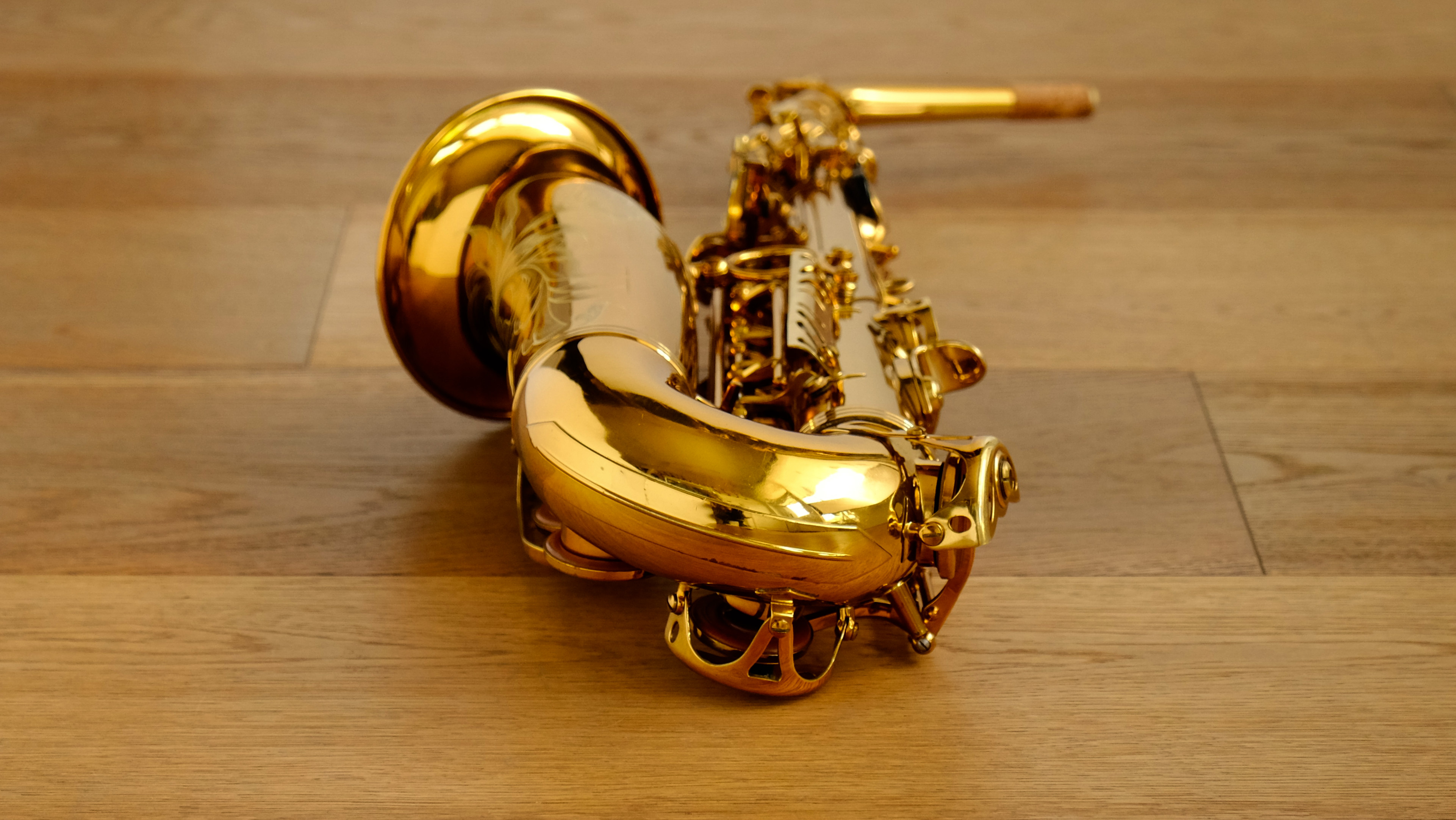(USED) Selmer Reference 54 Alto Saxophone 665*** thumnail image
