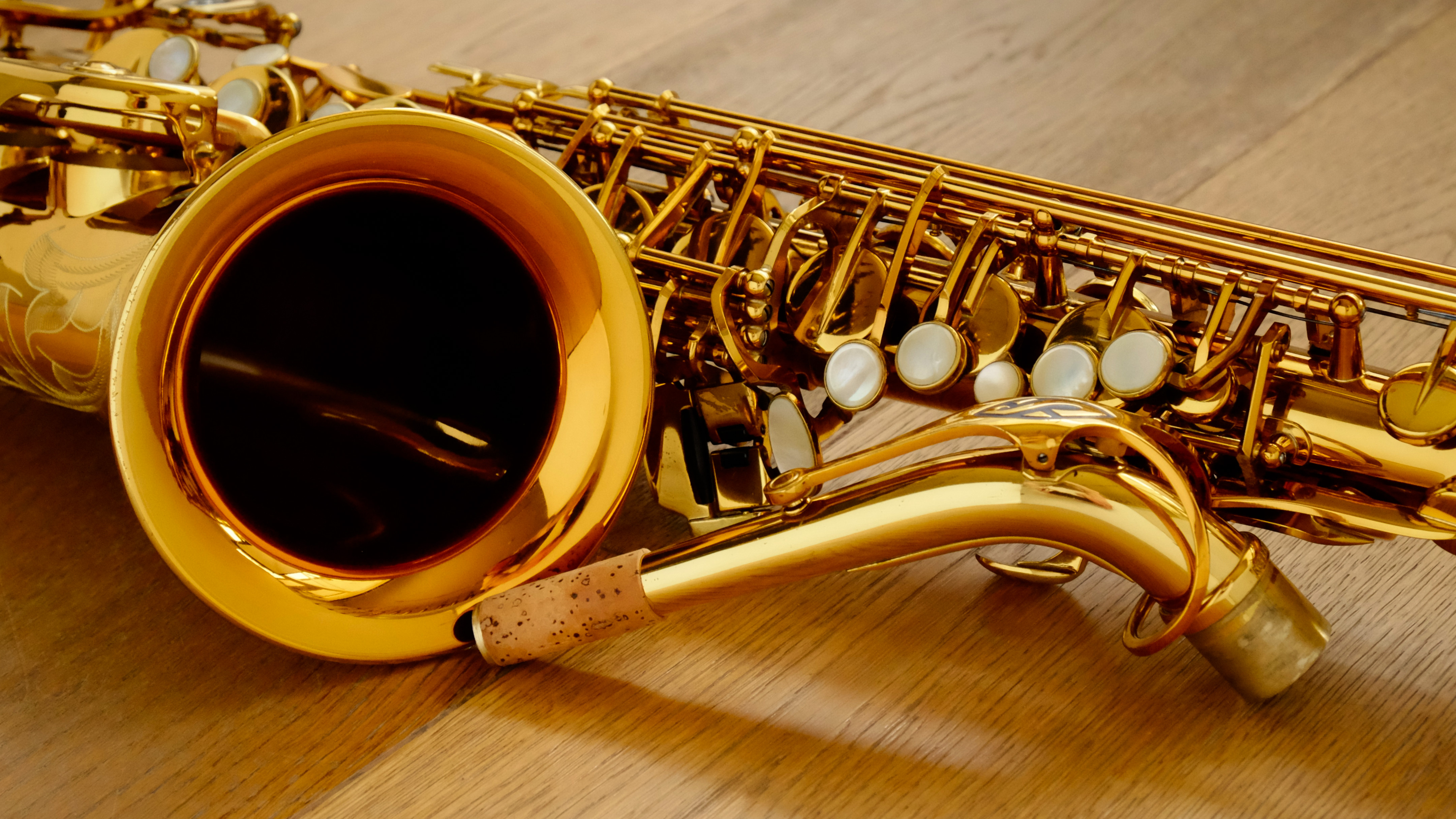 (USED) Selmer Reference 54 Alto Saxophone 665*** thumnail image